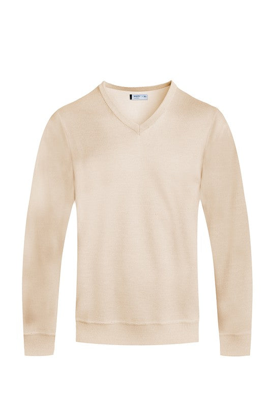 Solid V-Neck Sweater