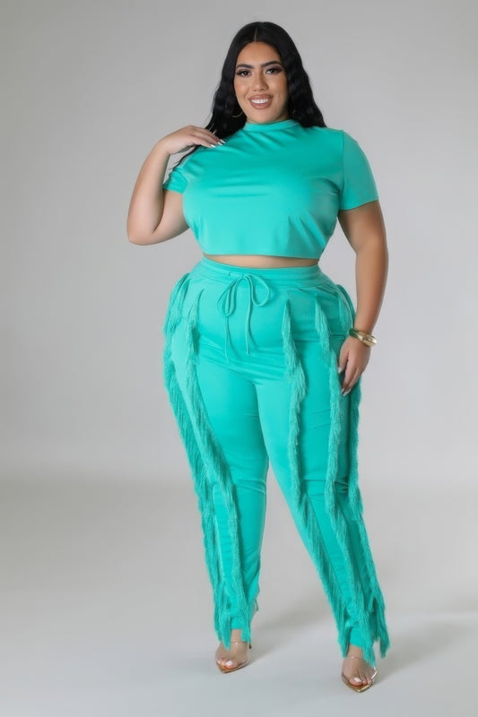 Plus Size Crop Top Two-piece Set