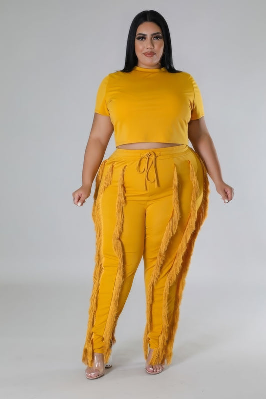 Plus Size Crop Top Two-piece Set